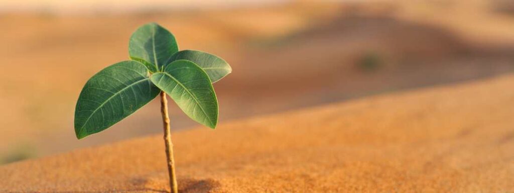 Sustainability in manufacturing, go green, reduce manufacturing waste, ensure well-being of worker