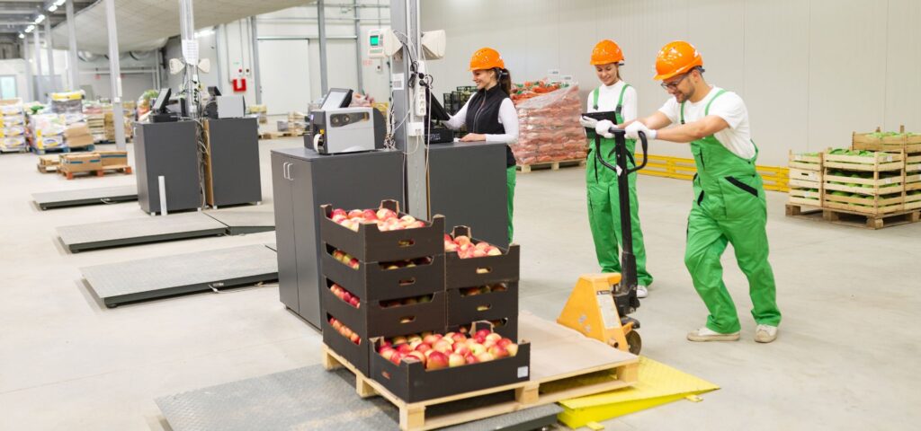 Efficient distribution and logistics in food and beverage manufacturing industry